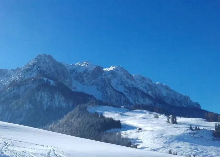 Fahringer Diana Kössen