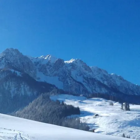 Fahringer Diana Kössen